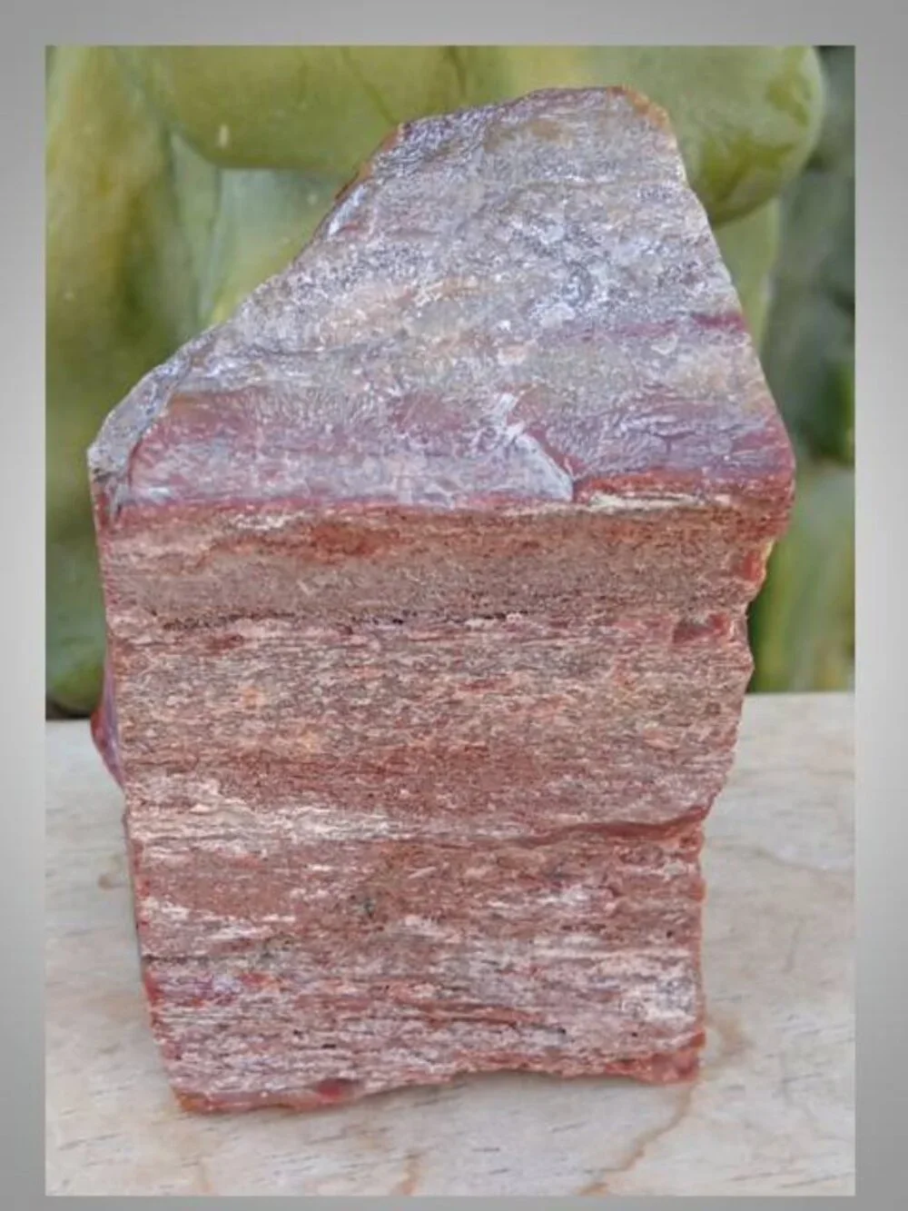 #5 Petrified Wood chunk stone fossil FORTUNE strength CALMNESS